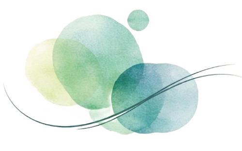 Logo Vincent Delaval